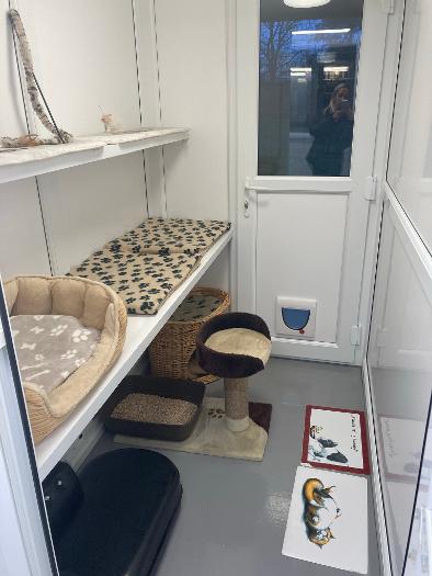 Cat pods for on sale cattery